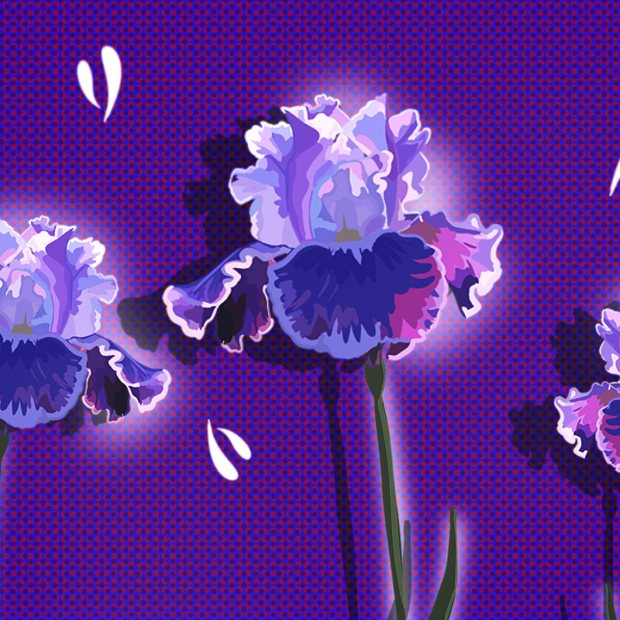 iris flowers