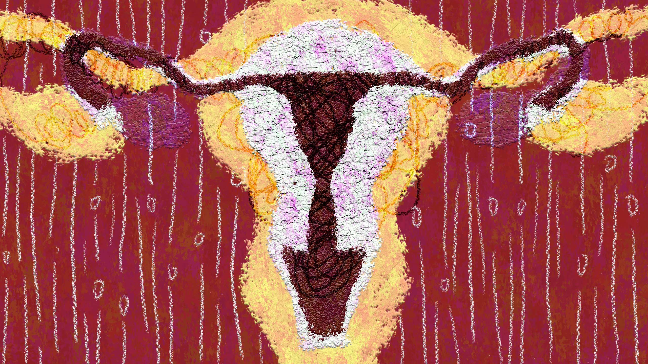 the shape of a uterus and ovaries against red background