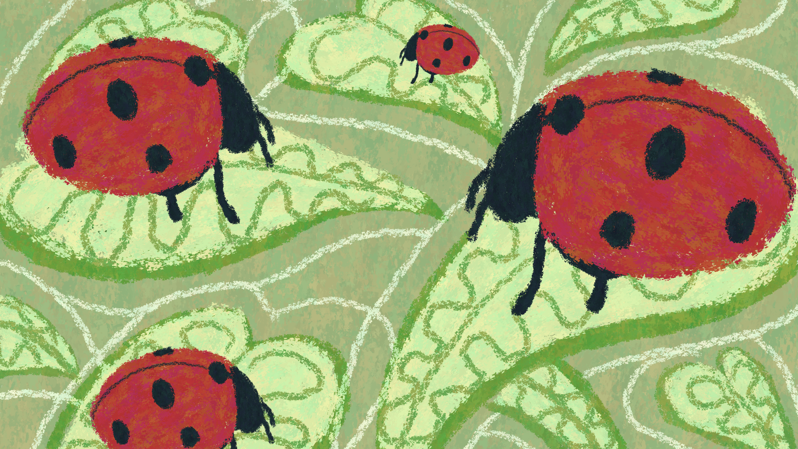 some ladybugs sitting on green leaves