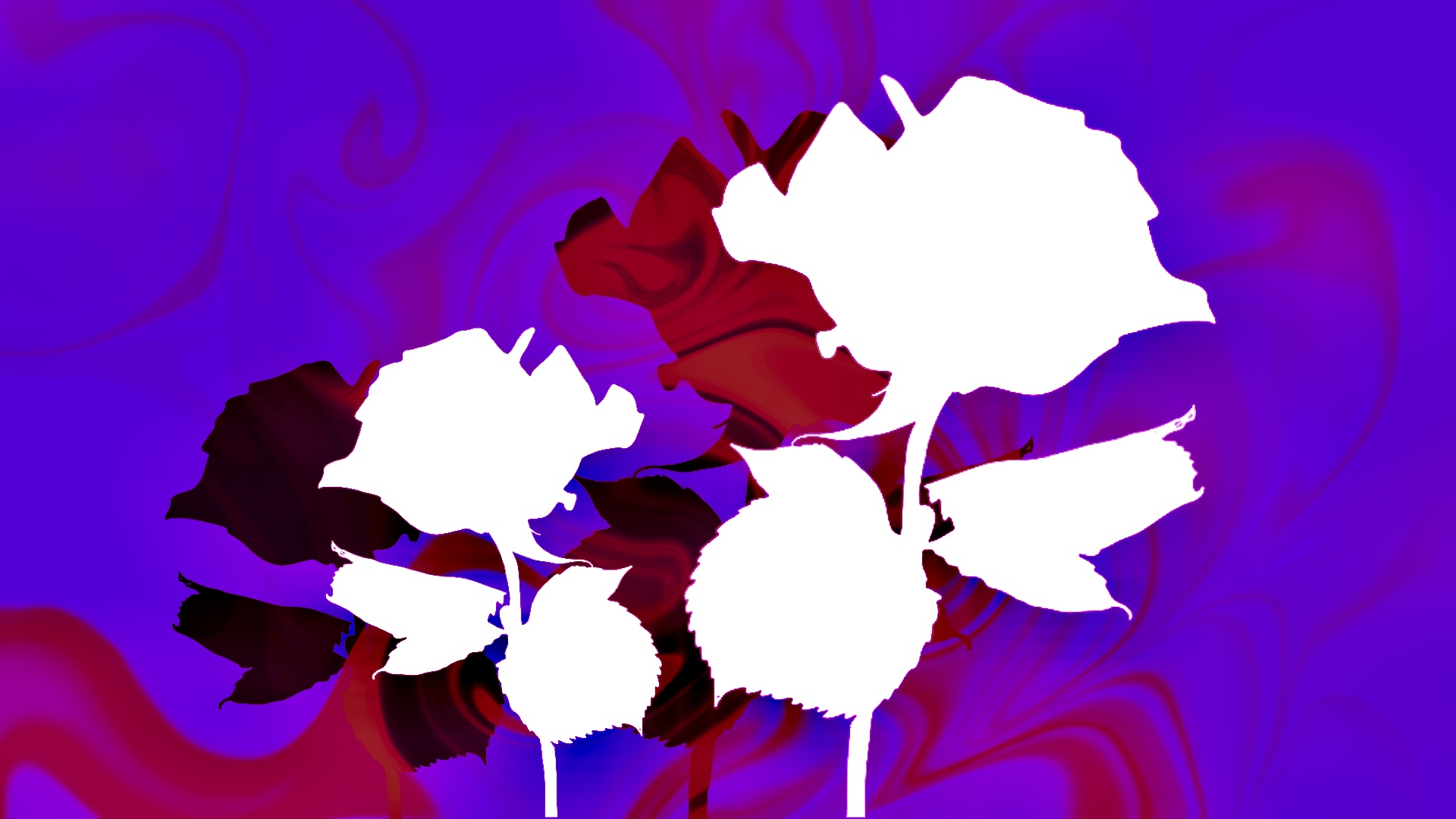 abstract image of roses