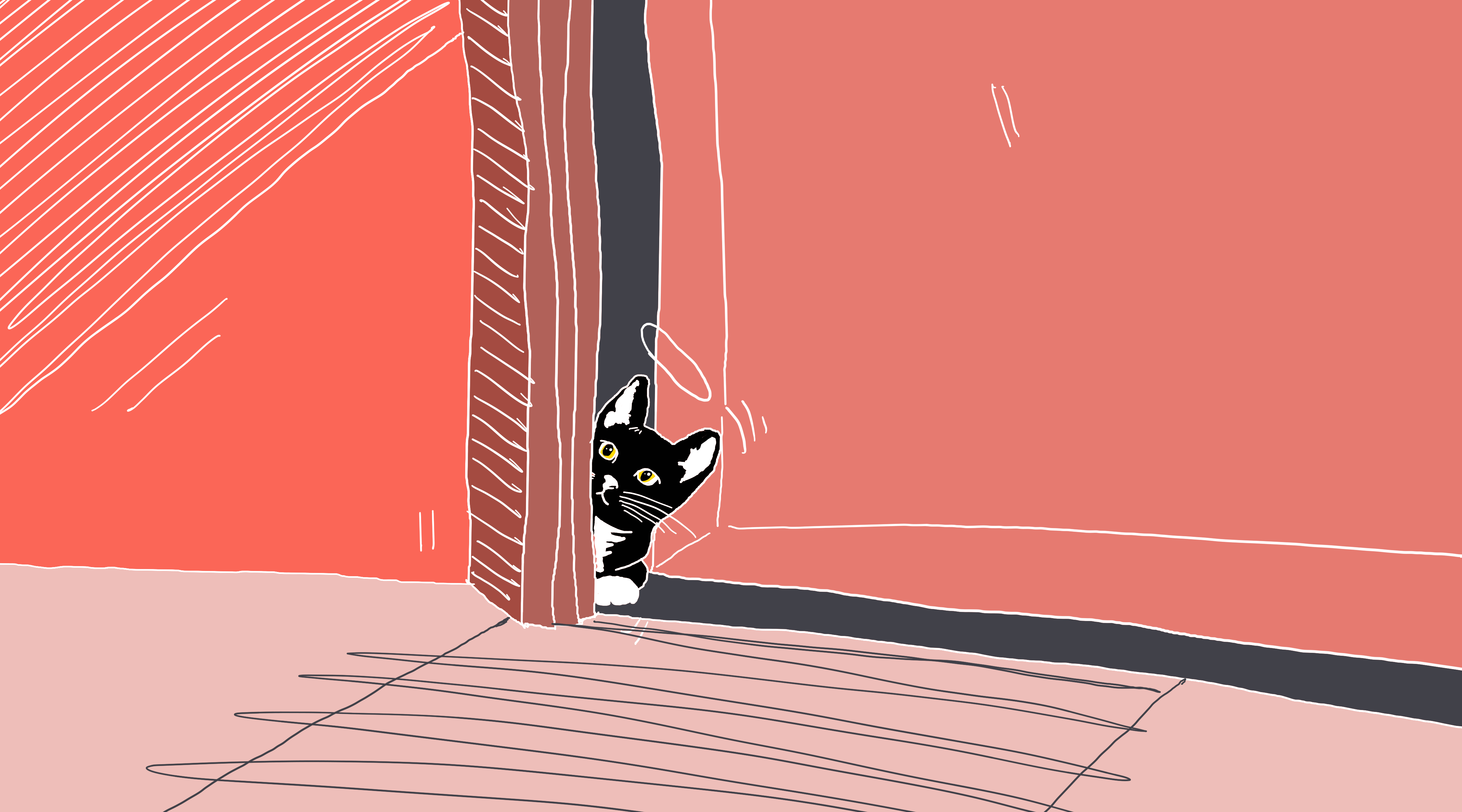 tuxedo cat peeking through a doorway