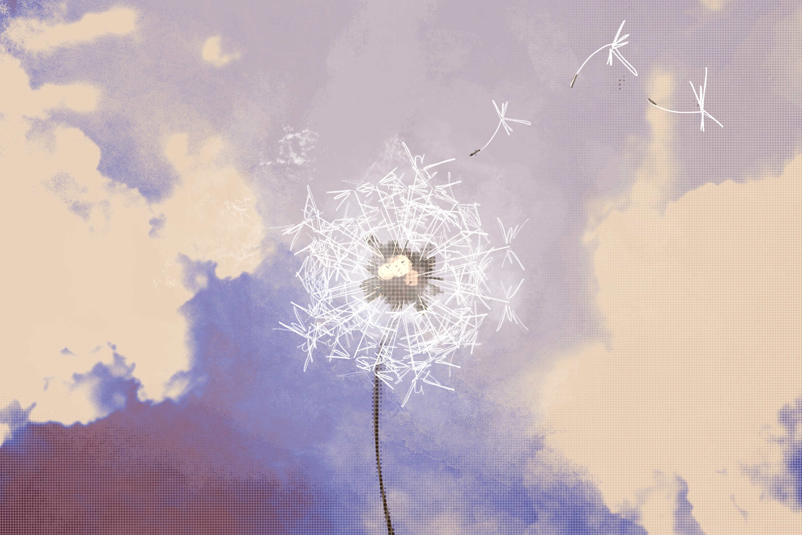 a dandelion against a bright blue sky