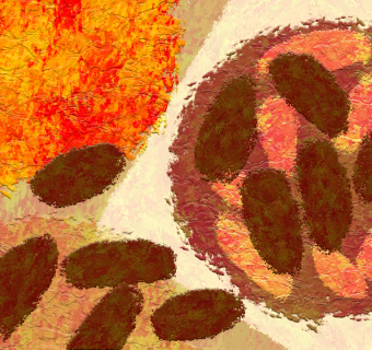 circles arranged like a tray of food in orange tones