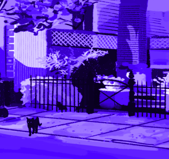 Image of a black cat walking the street at night