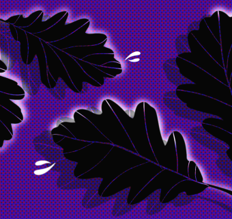 Image of falling leaves