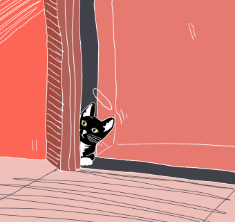 tuxedo cat peeking through a doorway
