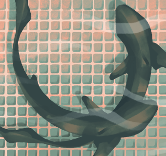 sharks on the bottom of a pool