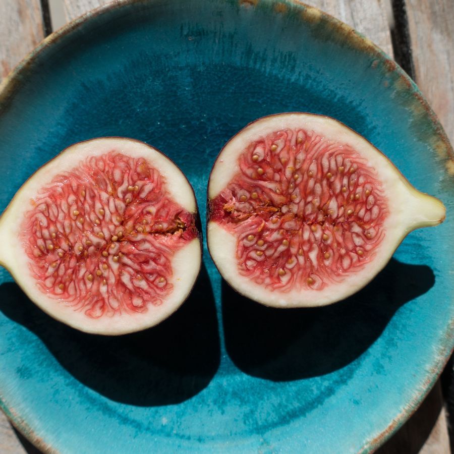 Pomegranate on blue plate
