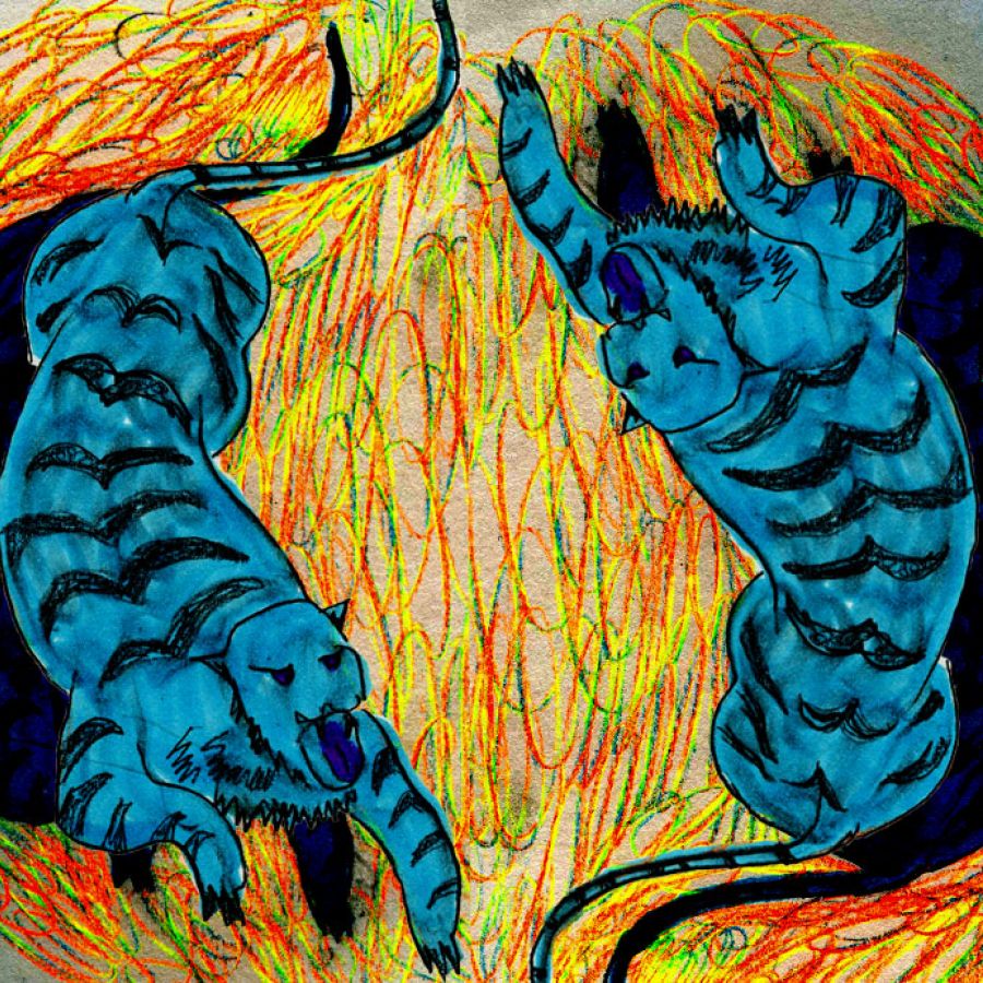 Two blue tigers on a yellow and orange palette of color
