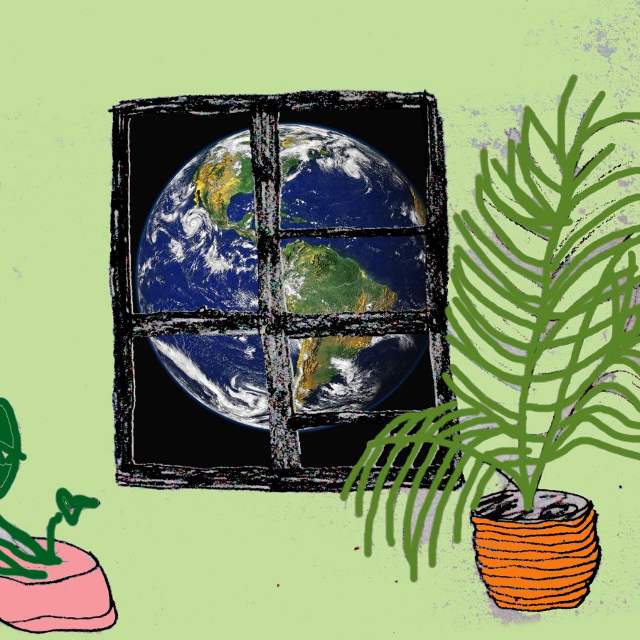 the earth framed by a window, and two potted plants adjacent