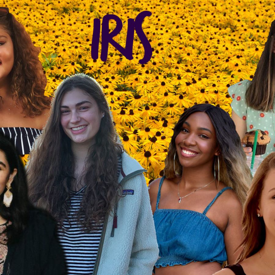 collage of iris staff