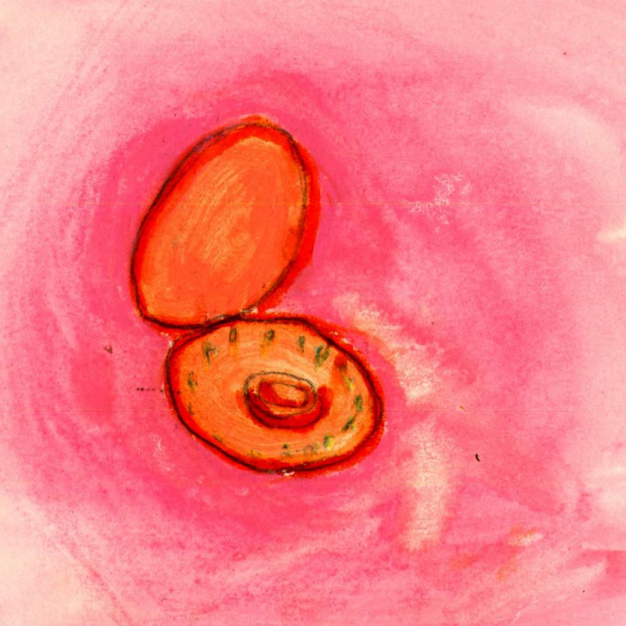 Pink birth control diaphragm