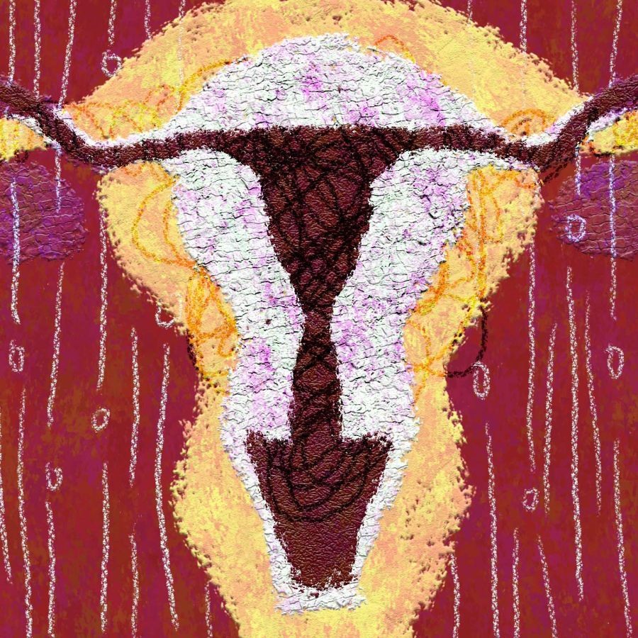 the shape of a uterus and ovaries against red background