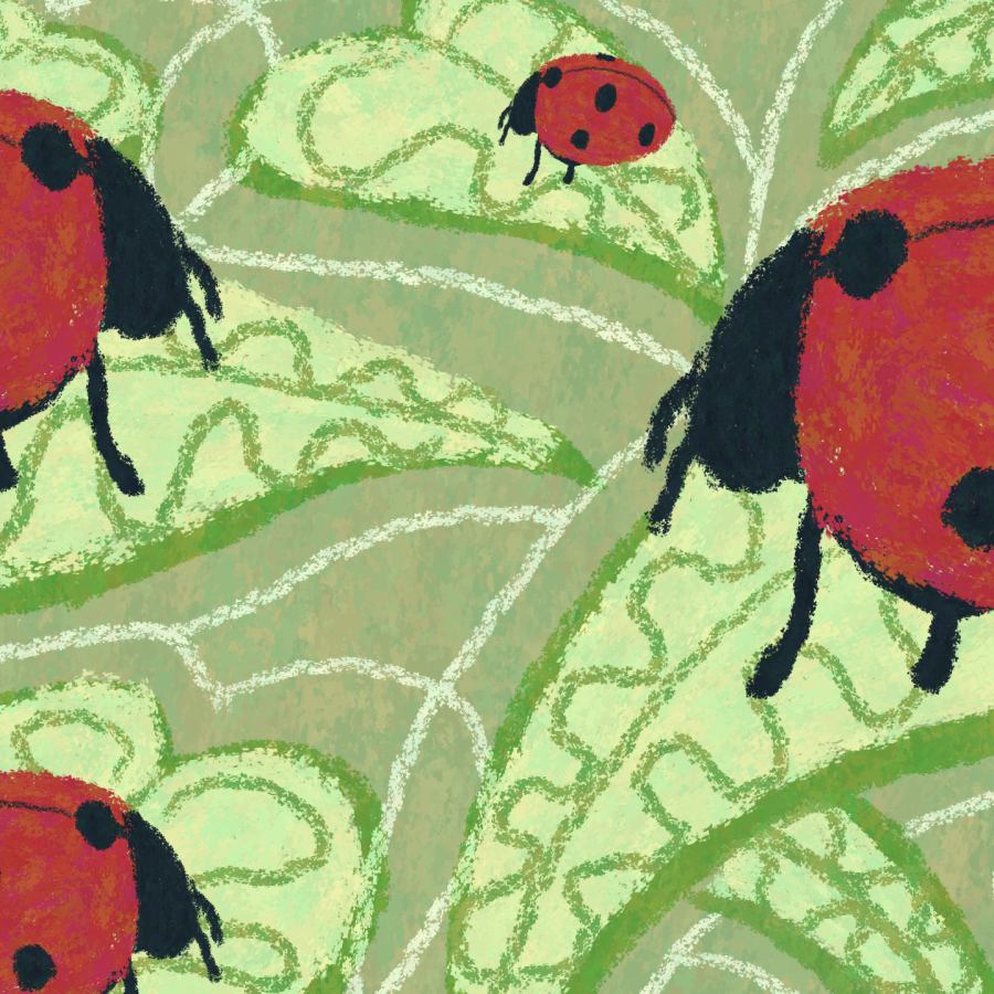 some ladybugs sitting on green leaves