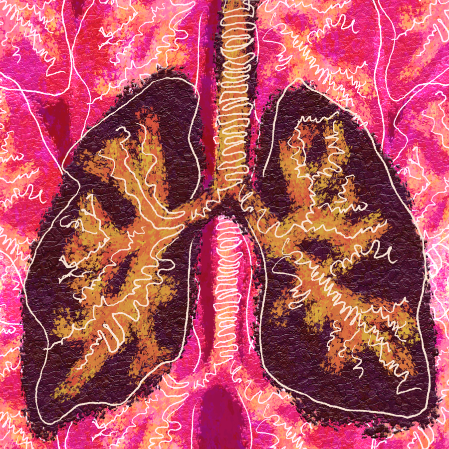 lungs with a pink background