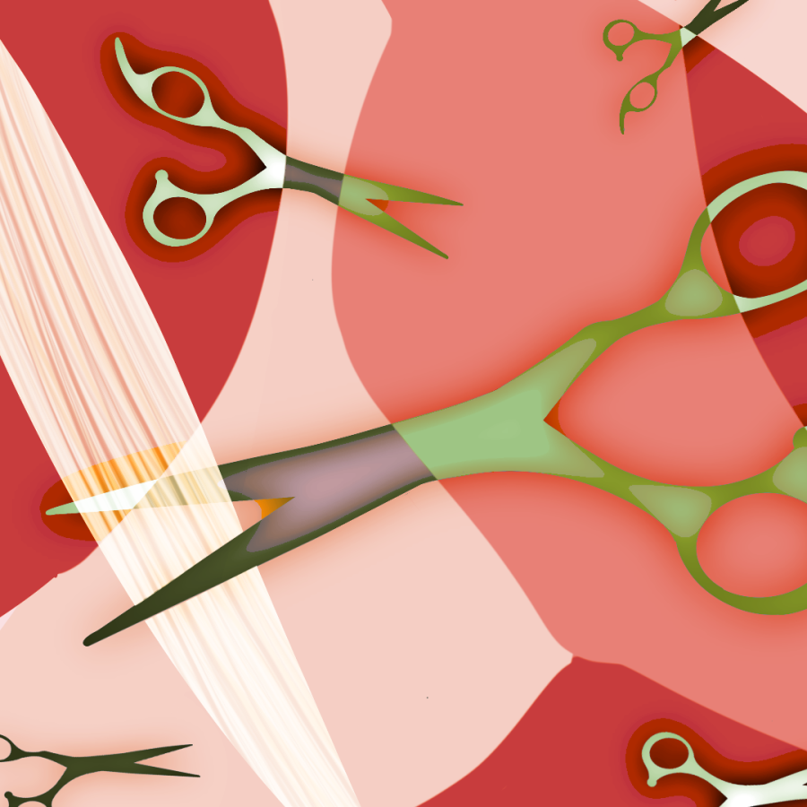 scissors cutting hair