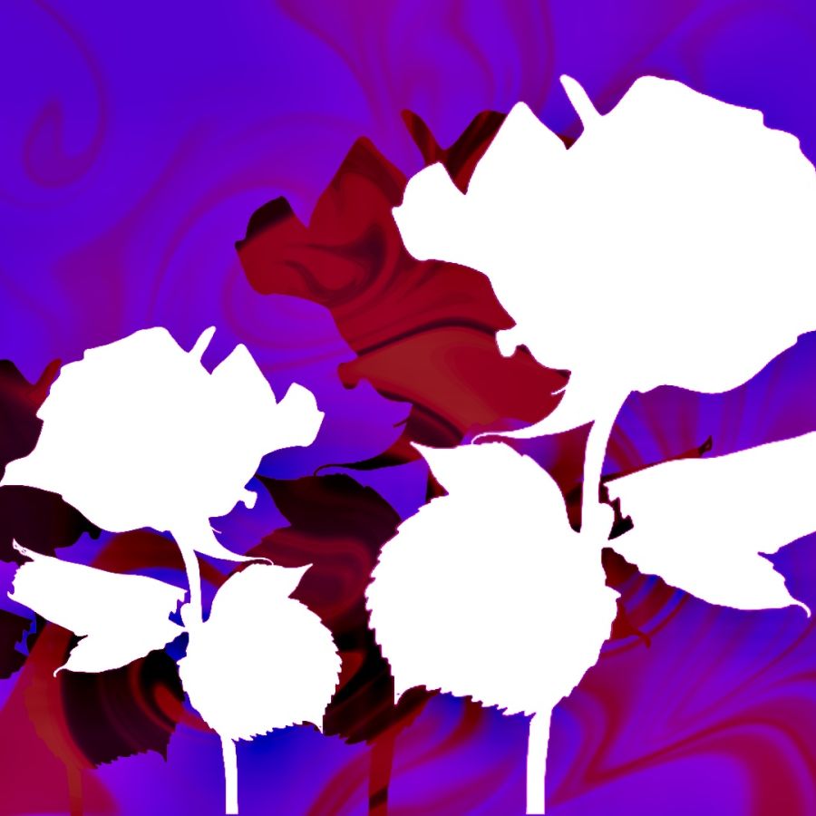 abstract image of roses