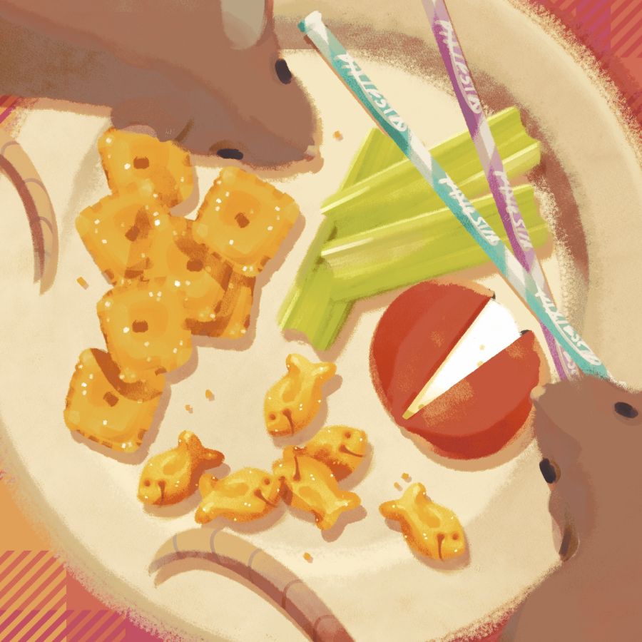 two rats on a scattered plate of snacks