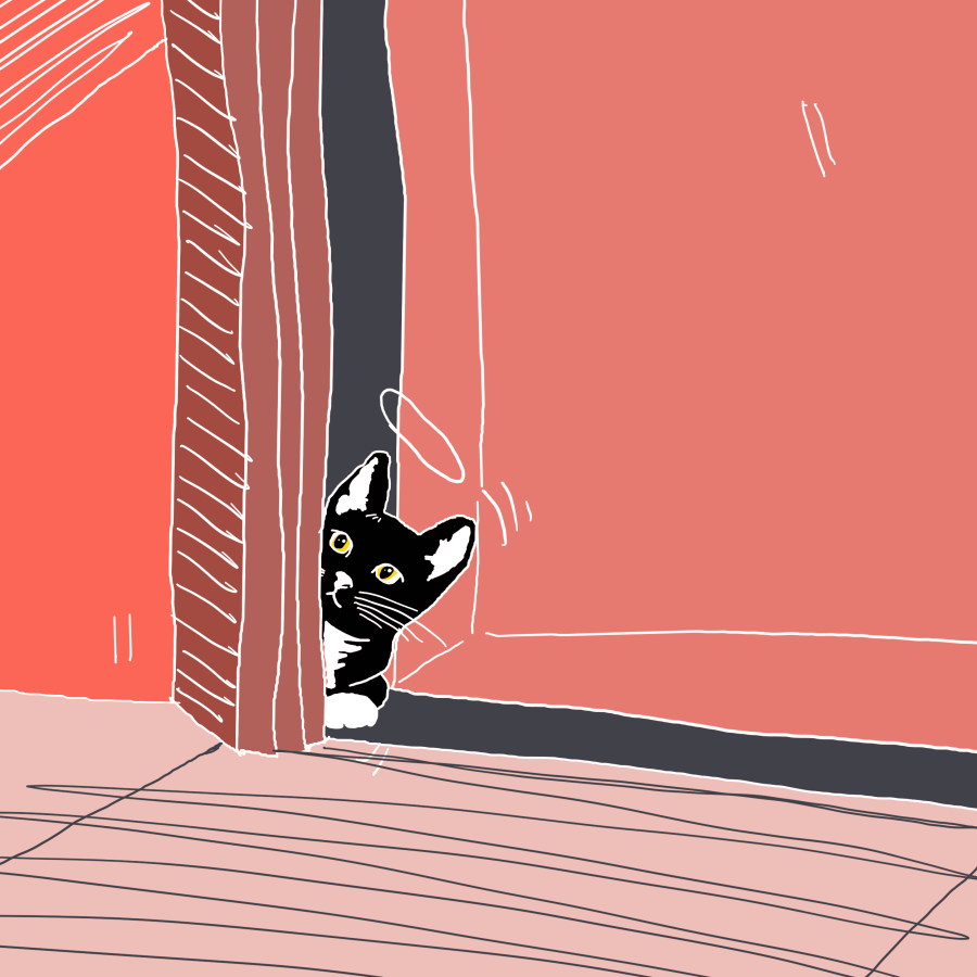 tuxedo cat peeking through a doorway