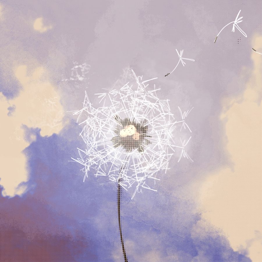 a dandelion against a bright blue sky