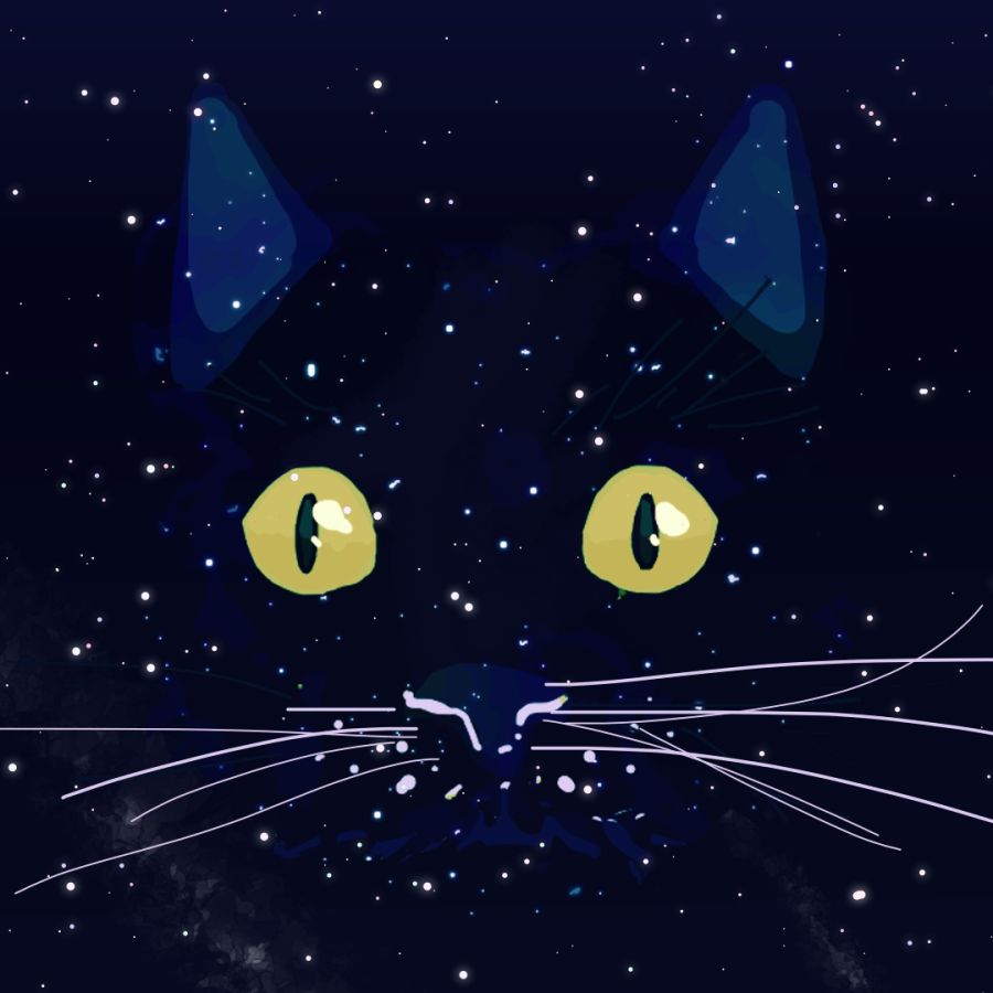 Cat blending into the night sky