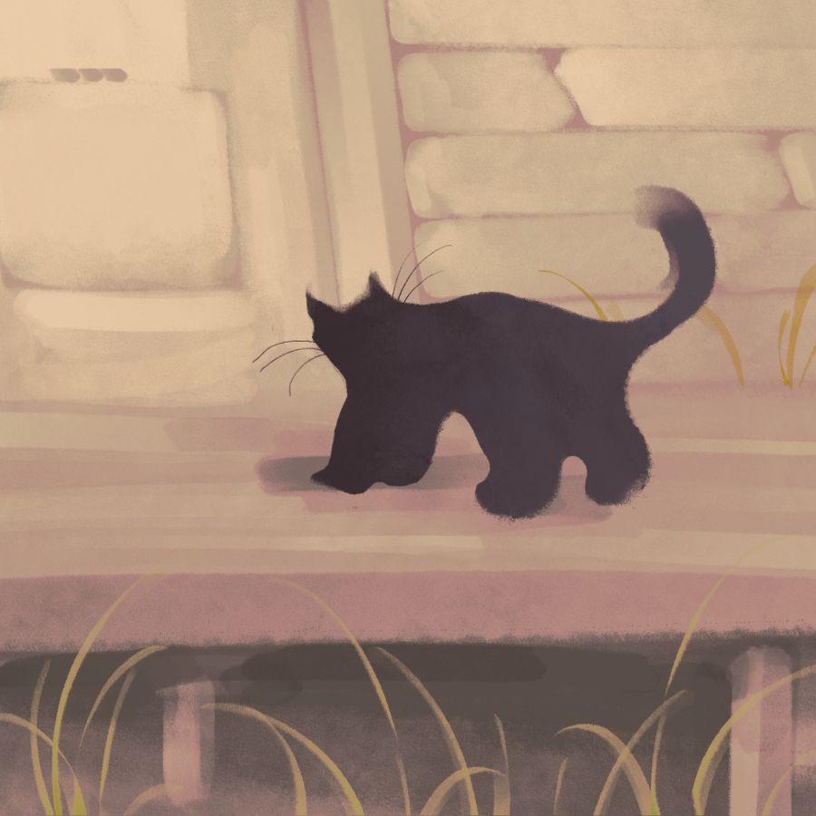 small cat