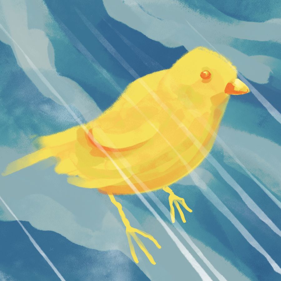 a small yellow bird on a blue, cloudy, and windy background