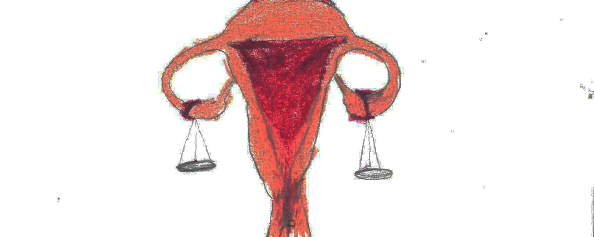 Hand-drawn photo of ovaries with two scales hanging off of them.