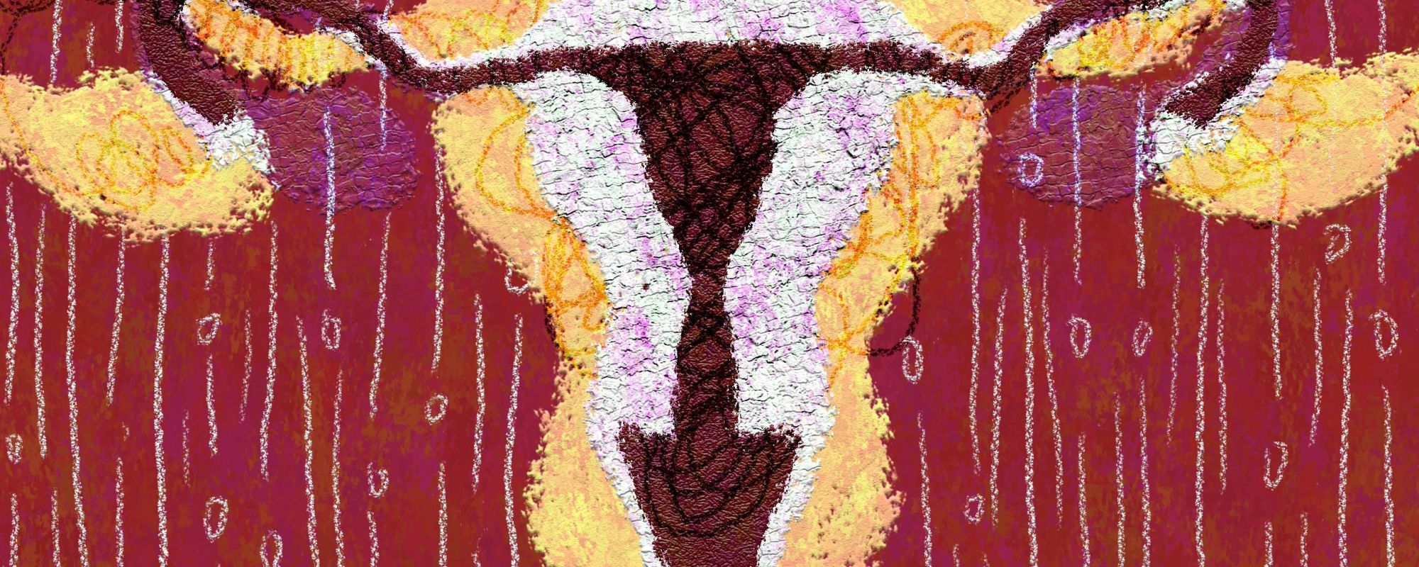 the shape of a uterus and ovaries against red background
