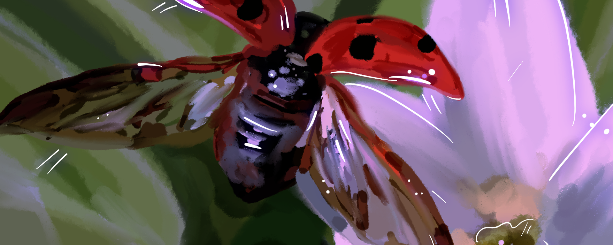 image of a ladybug taking flight