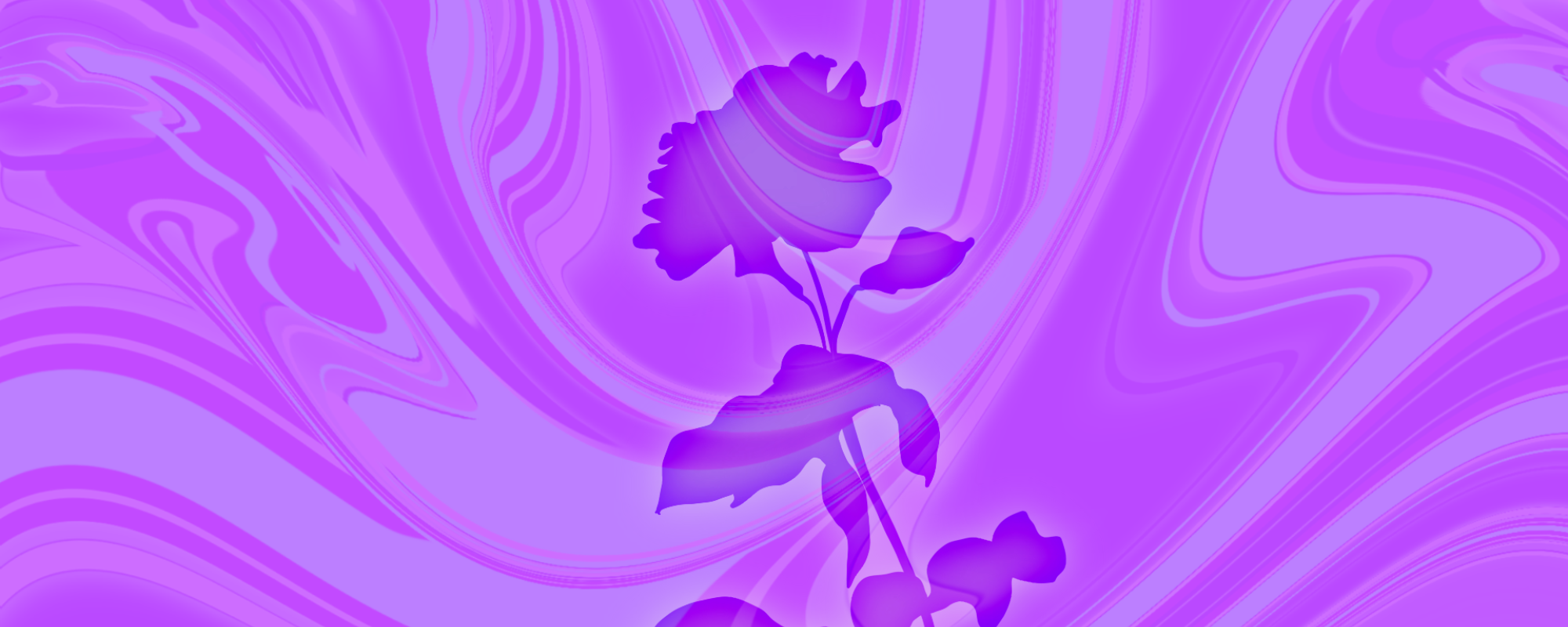 image of a rose