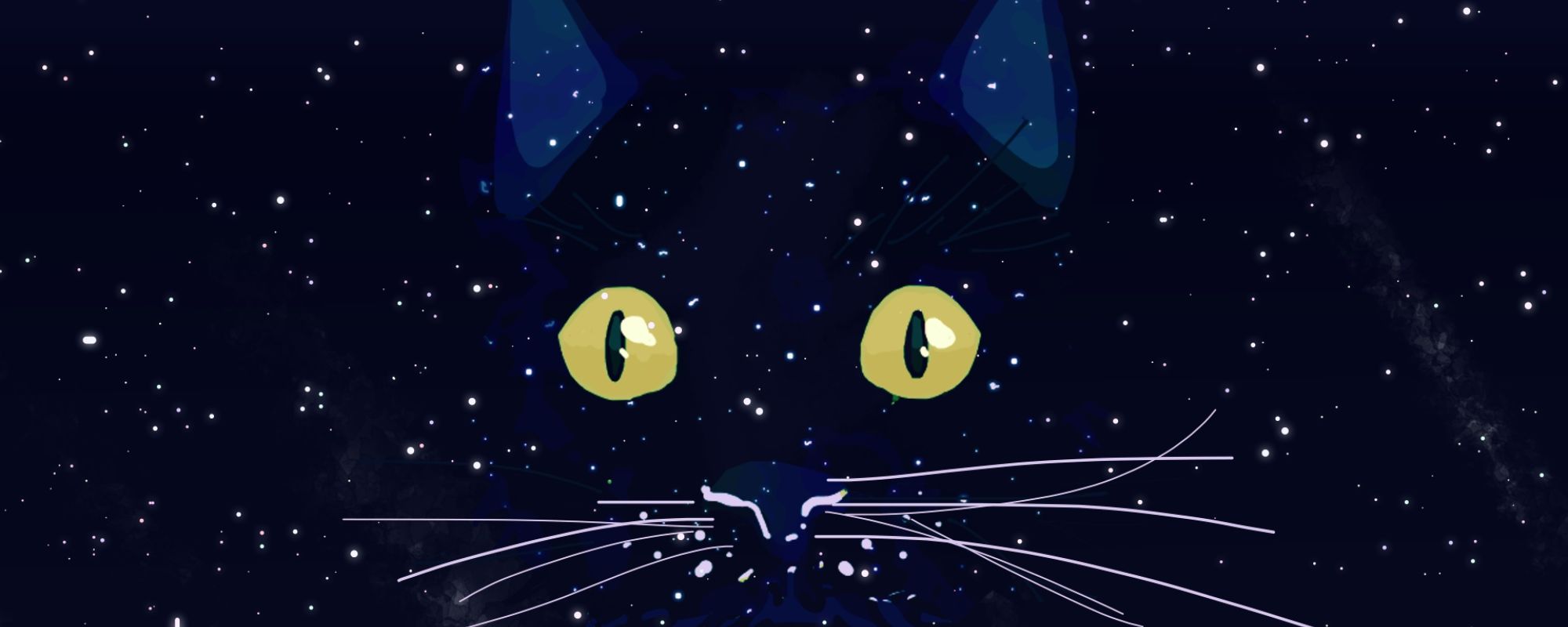 Cat blending into the night sky